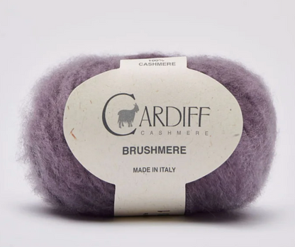 Cardiff Brushmere