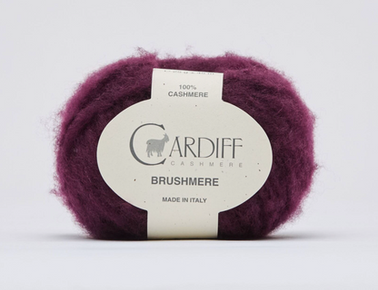 Cardiff Brushmere
