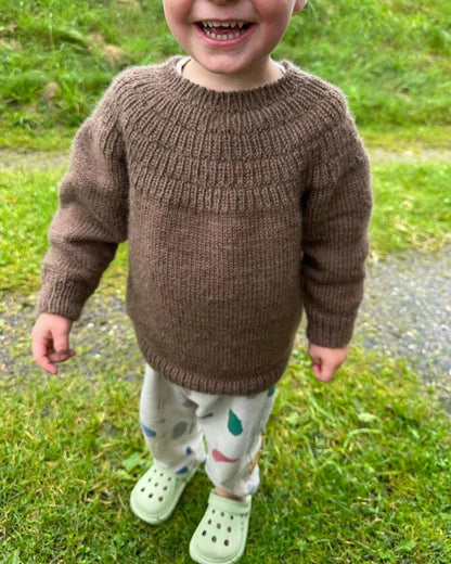 Ankers Pullover Anleitung - PetiteKnit