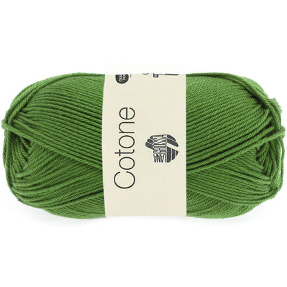 Cotone