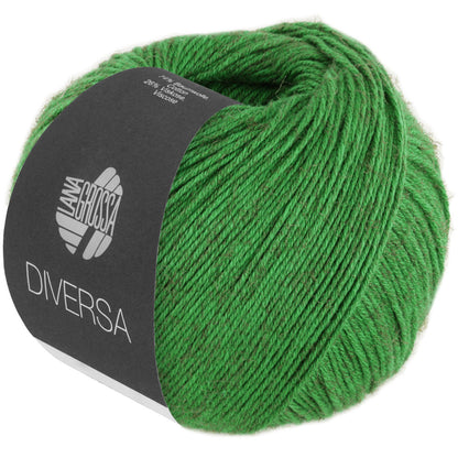 Diversa´