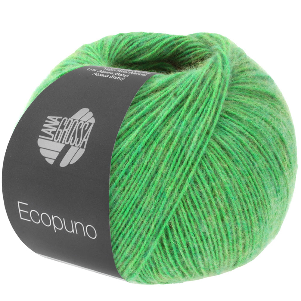 Ecopuno