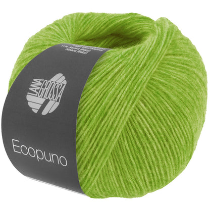 Ecopuno