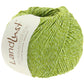 050 - Limette*