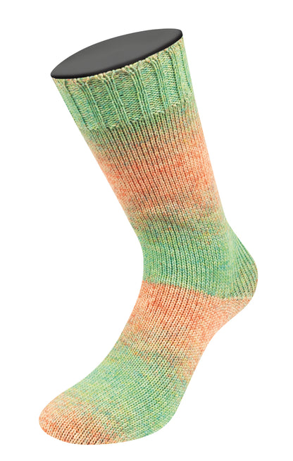 MW 100 Merino Extraf. Shades'