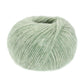 14 - Mint meliert