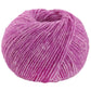 29 - Fuchsia meliert