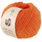 06 - Orange*