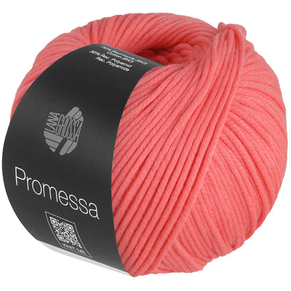 Promessa*