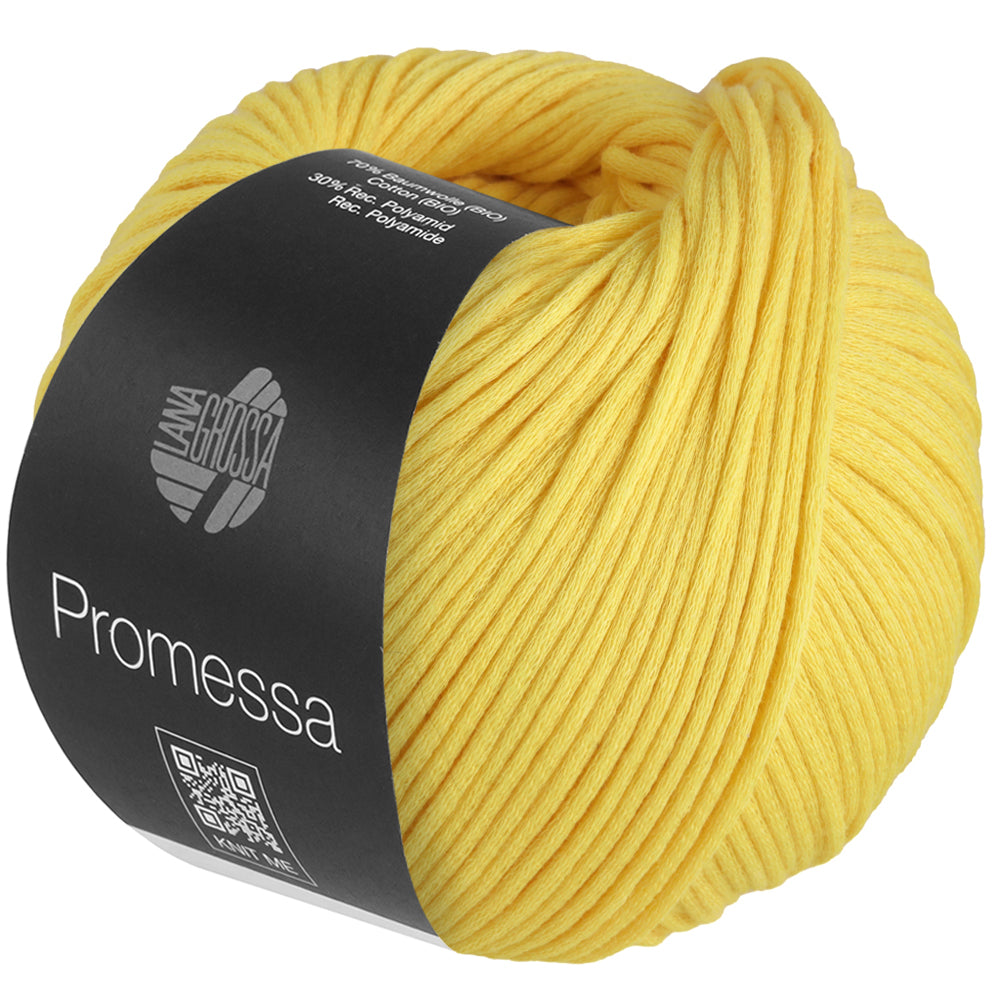 Promessa*