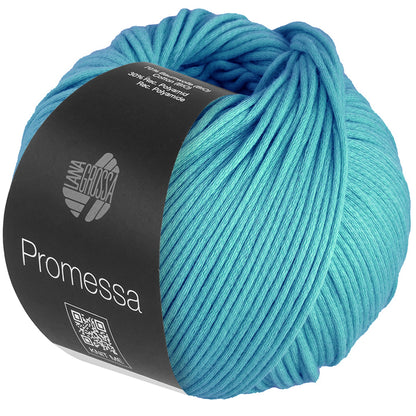 Promessa*