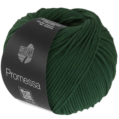 Promessa*