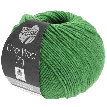Cool Wool Big