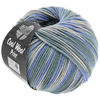 Cool Wool Print