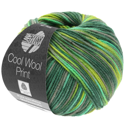 Cool Wool Print