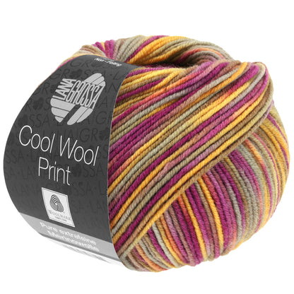Cool Wool Print