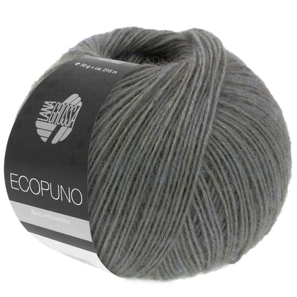 Ecopuno